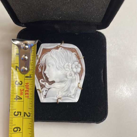Gorgeous cameo pin/pendant - Picture 6 of 7